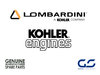 Ceinture de moteur Kohler Lombardini ED0024401230-S (Old Ref.: ED0024001170-S)