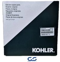 Correa de Motor Kohler Lombardini ED0024404800-S