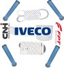 Juego de rodamientos kit FPT IVECO (500055514)